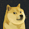 MyDoge Wallet Logo - Wallet for DogePay and DRC-20 tokens